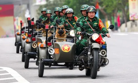 Quân đội và cảnh khuyển Việt trên báo ngoại